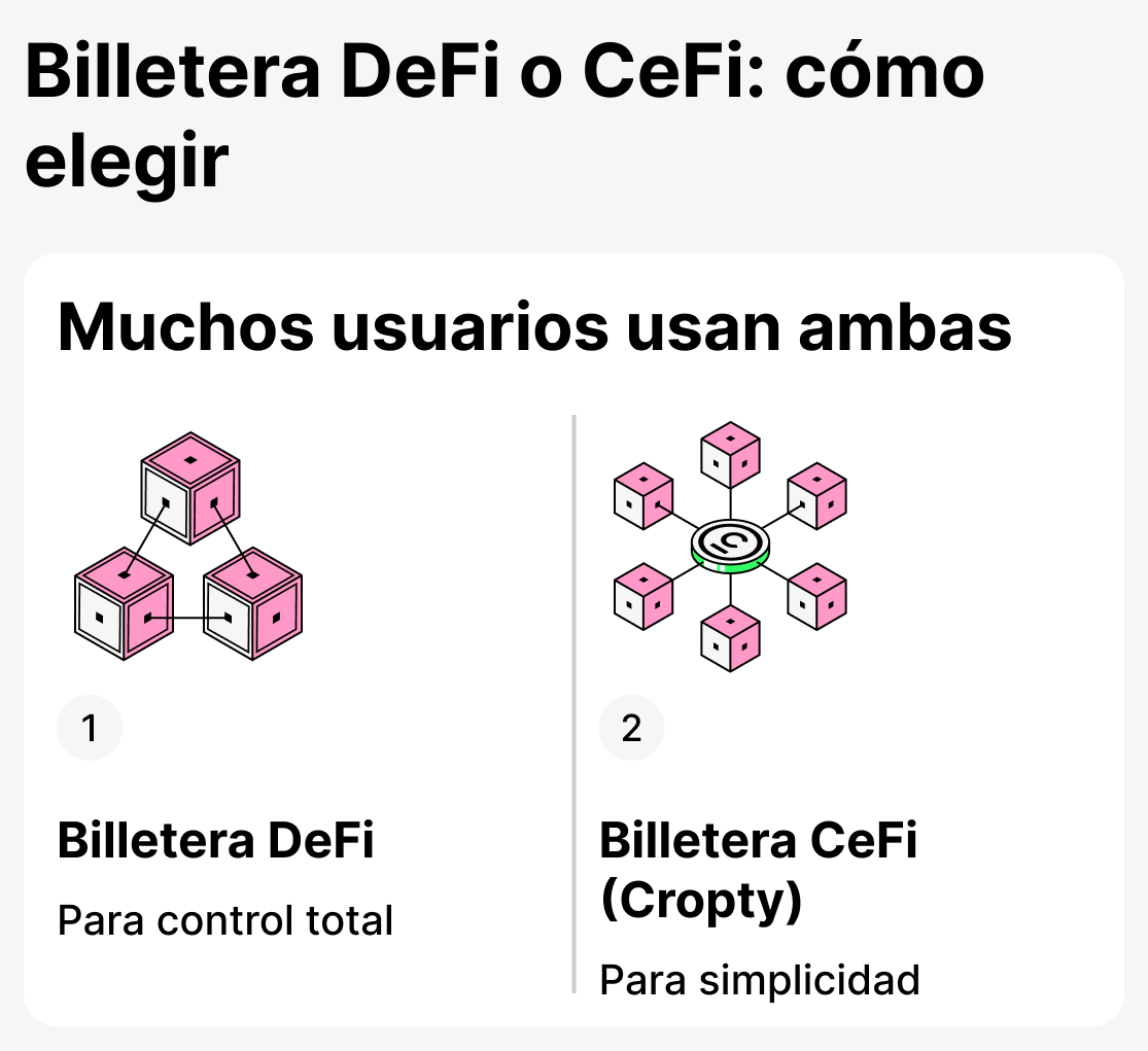 Qué monedero elegir