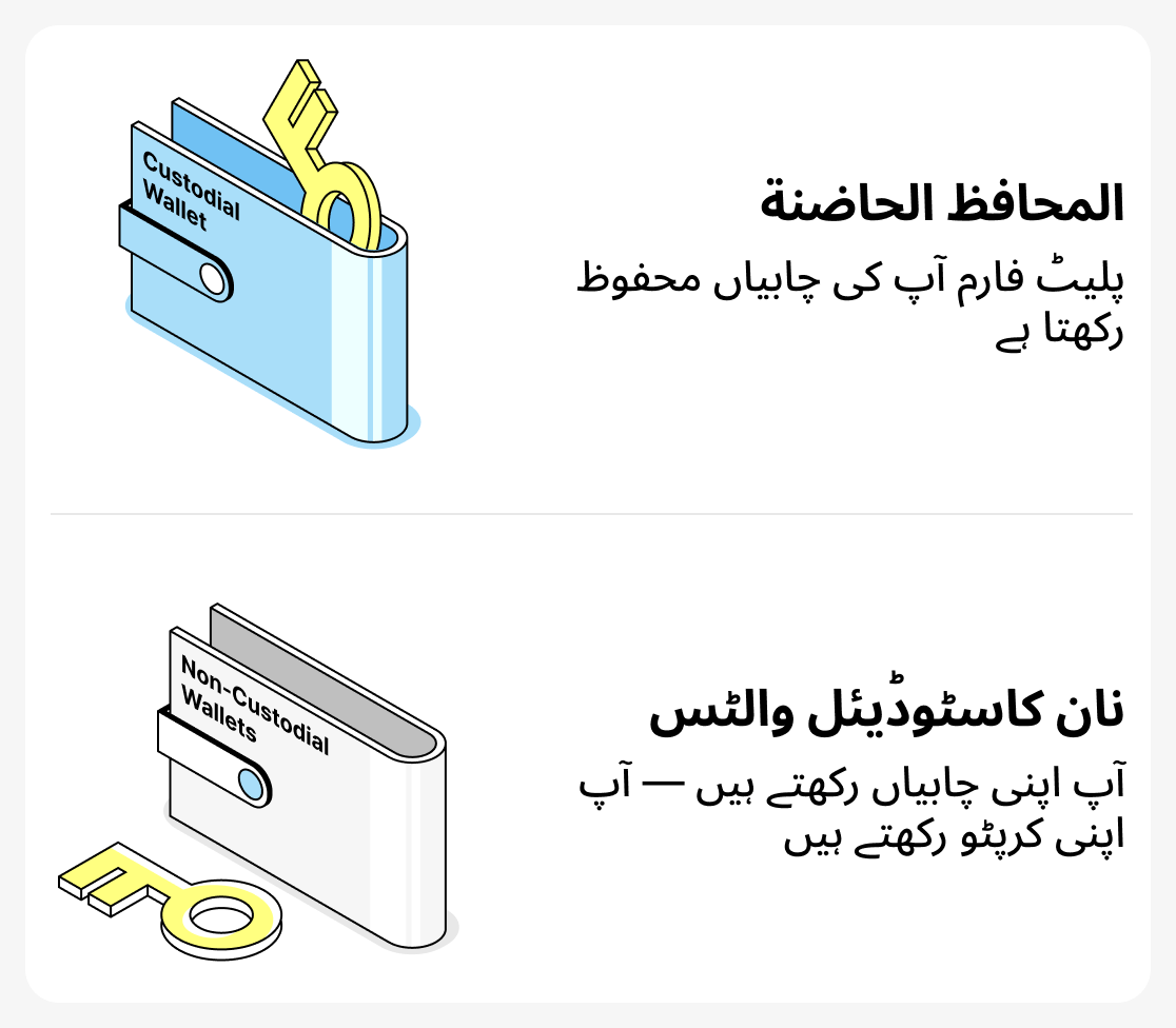 قابض والٹس اور غیر قابض والٹس میں کیا فرق ہے؟