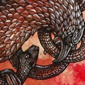 Фойдаланувчи суратлари