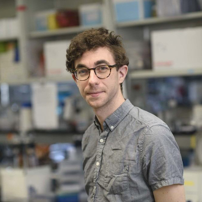 Zdjęcie użytkownika